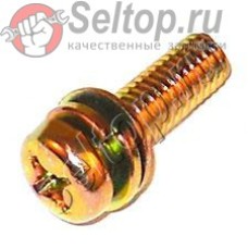 SCREW M6x20 для генератора Makita G 1700 I (43606200)