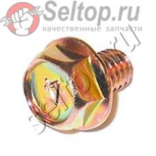 Болт с буртиком (0110060010)