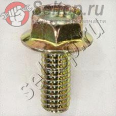 Болт с буртиком G2800R (0110060030)