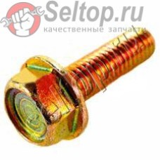 Болт с буртиком (0110060050)