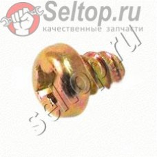 TAPPING SCREW M4X6 G1700L (0150040060)
