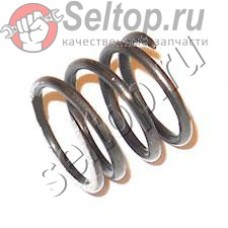 Компрессионная пружина 12 (231231-2)