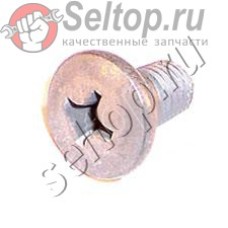 Винт(+)с обвязывающей голов.М8 (251217-0)