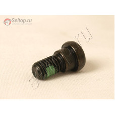 Винт (+)  M8 (251339-6)