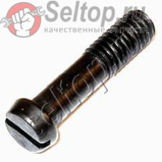 SLOT CHEESE SCREW M6X25 5PK (251469-3)