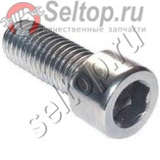 Болт M6х18 (265484-1)
