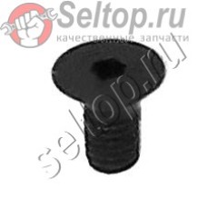 Болт с внутр.шестигран. M5X22 (265899-2)