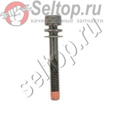 Болт M6х45 (266252-5)