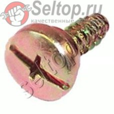 Самонарез.винт M5х12 (266585-8)