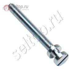 Винт натяжителя цепи (389213080)