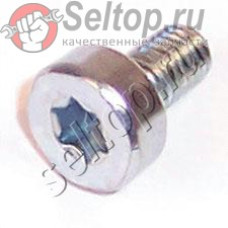 Винт М5х9 DBC300/301/340/ (908005095)