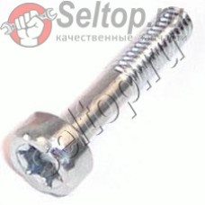 Винт со шлицем Torx M5x30 (908005305)