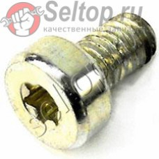 Болт со шлицем Torx (908006105)