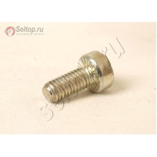 Винт со шлицем Torx 6х14 (908006145)
