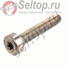 Винт со шлицем Torx (908006355)