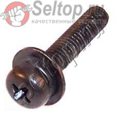 Винт M5X25 для модели 2106 (911244-6)