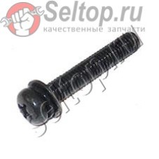 Винт M5x30 (911253-5)