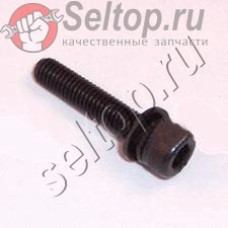 Болт M5х25 (922243-3)