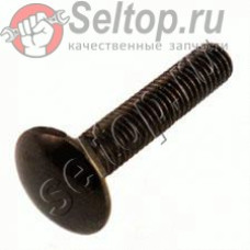 Болт с квадр.осн.шляпки M5х25 (923241-0)