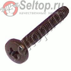 Самонарезающий винт CT4х25 (266040-0)