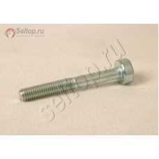 Винт со шлицем Torx M5х60 (908205605)